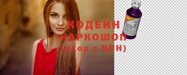 гашик Каменногорск