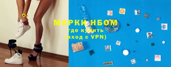 гашик Каменногорск