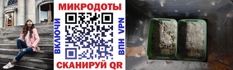 Псилоцибиновые грибы Cubensis Карачаевск