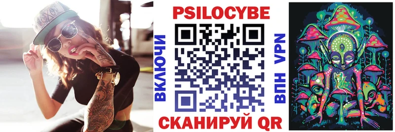 Купить Карачаевск Псилоцибиновые грибы Psilocybine cubensis